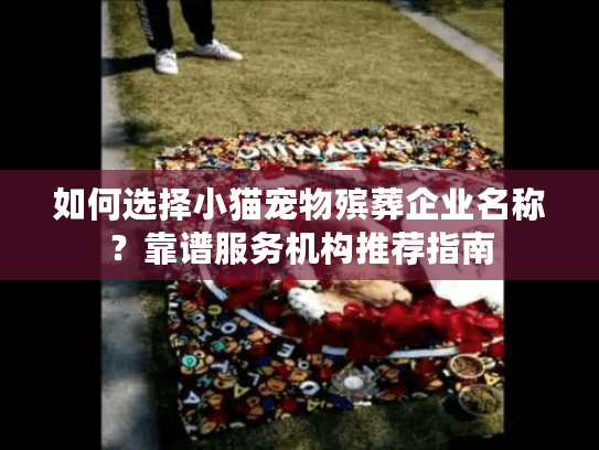 如何选择小猫宠物殡葬企业名称？靠谱服务机构推荐指南