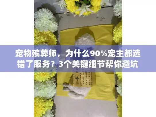 宠物殡葬师,为什么90%宠主都选错了服务?3个关键细节帮你避坑 宠物殡葬师,为什么90%宠主都选错了服务?3个关键细节帮你避坑