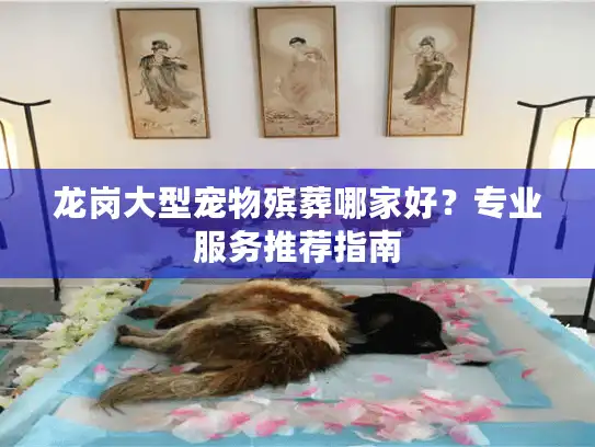 龙岗大型宠物殡葬哪家好？专业服务推荐指南