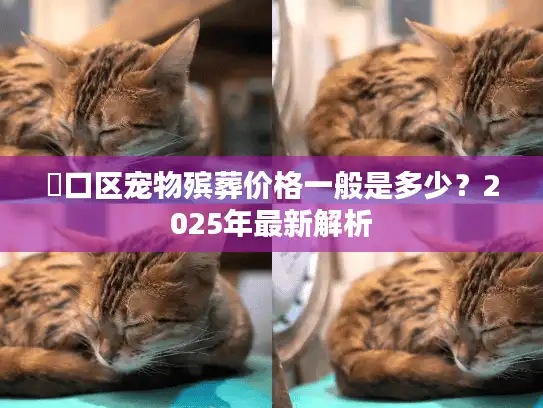 硚口区宠物殡葬价格一般是多少？2025年最新解析