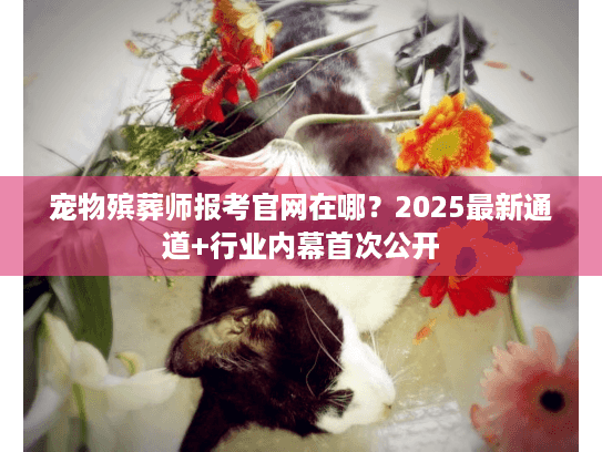 宠物殡葬师报考官网在哪？2025最新通道+行业内幕首次公开