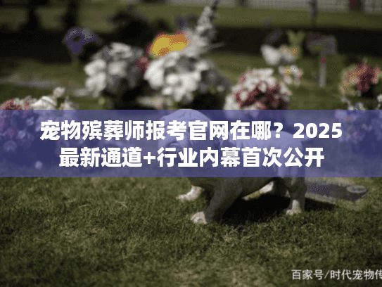 宠物殡葬师报考官网在哪？2025最新通道+行业内幕首次公开