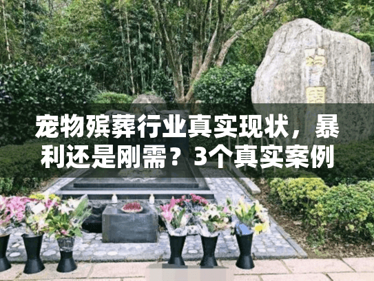 宠物殡葬行业真实现状，暴利还是刚需？3个真实案例揭露行业内幕