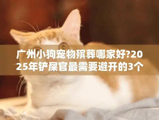 广州小狗宠物殡葬哪家好?2025年铲屎官最需要避开的3个误区