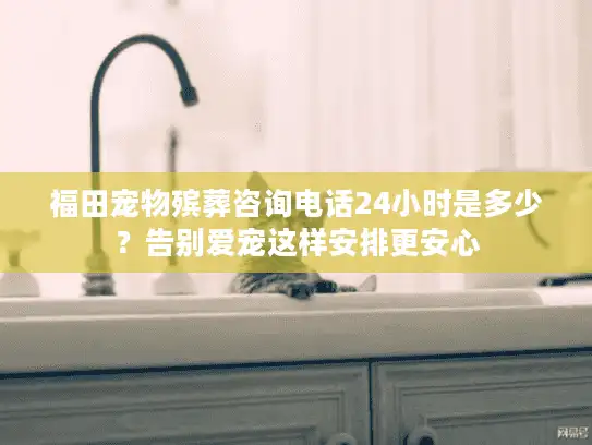 福田宠物殡葬咨询电话24小时是多少？告别爱宠这样安排更安心