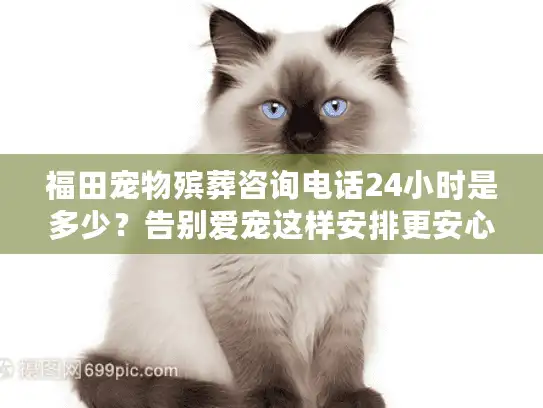 福田宠物殡葬咨询电话24小时是多少？告别爱宠这样安排更安心