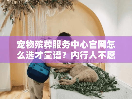 宠物殡葬服务中心官网怎么选才靠谱？内行人不愿说的3个稀缺判断法