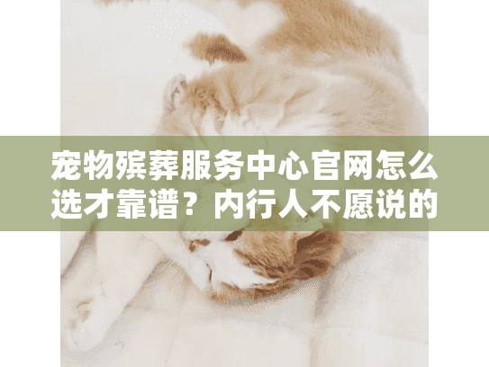 宠物殡葬服务中心官网怎么选才靠谱？内行人不愿说的3个稀缺判断法