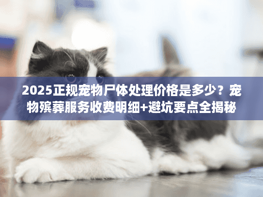 2025正规宠物尸体处理价格是多少？宠物殡葬服务收费明细+避坑要点全揭秘