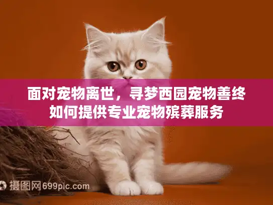 面对宠物离世,寻梦西园宠物善终如何提供专业宠物殡葬服务 面对宠物离世,寻梦西园宠物善终如何提供专业宠物殡葬服务