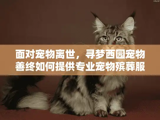 面对宠物离世,寻梦西园宠物善终如何提供专业宠物殡葬服务 面对宠物离世,寻梦西园宠物善终如何提供专业宠物殡葬服务