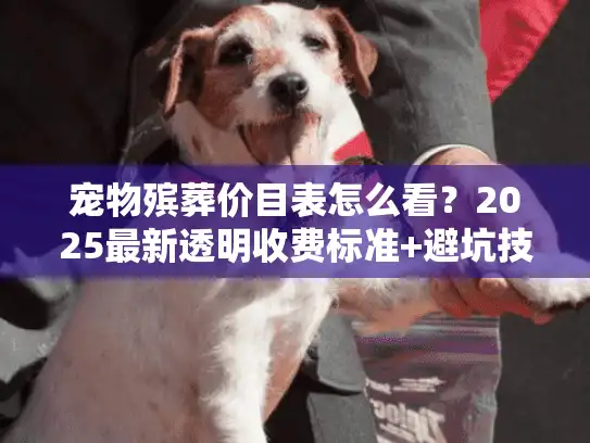 宠物殡葬价目表怎么看？2025最新透明收费标准+避坑技巧（90%人不知道）