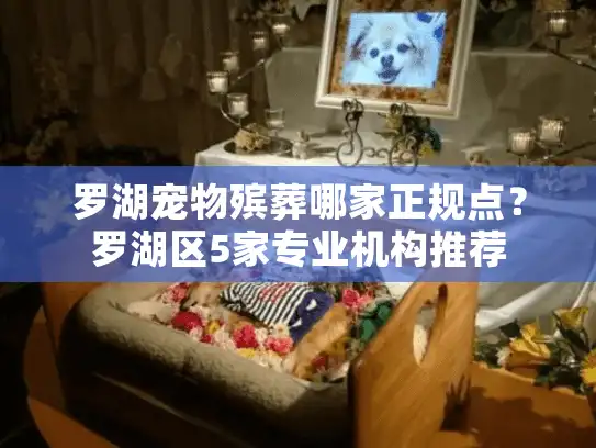 罗湖宠物殡葬哪家正规点？罗湖区5家专业机构推荐