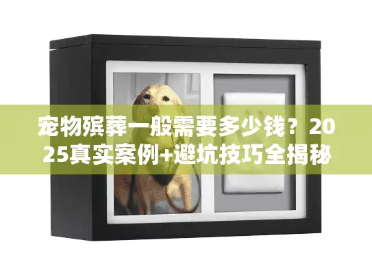 宠物殡葬一般需要多少钱？2025真实案例+避坑技巧全揭秘