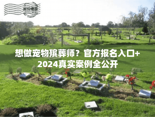 想做宠物殡葬师？官方报名入口+2024真实案例全公开