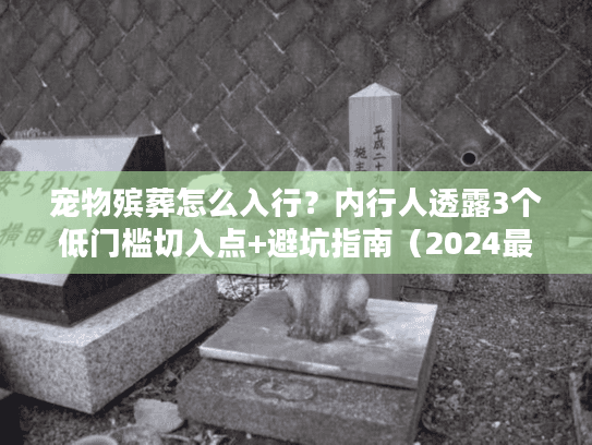宠物殡葬怎么入行？内行人透露3个低门槛切入点+避坑指南（2024最新）