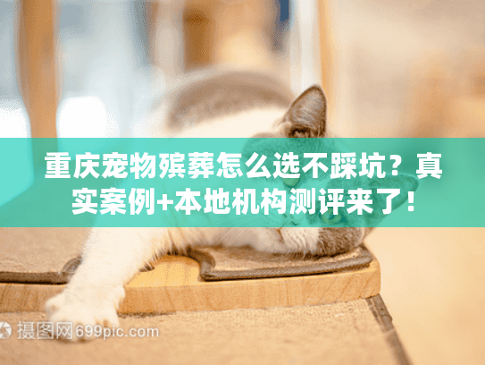 重庆宠物殡葬怎么选不踩坑？真实案例+本地机构测评来了！