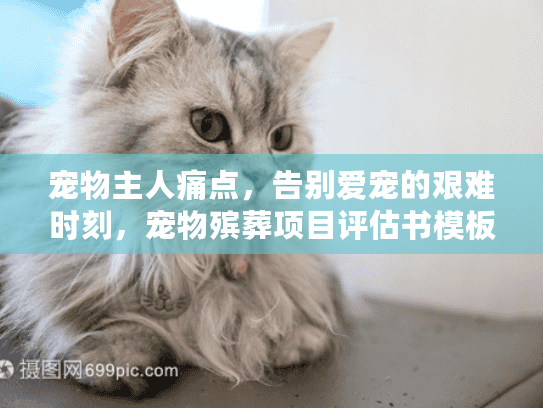 宠物主人痛点，告别爱宠的艰难时刻，宠物殡葬项目评估书模板助您安心