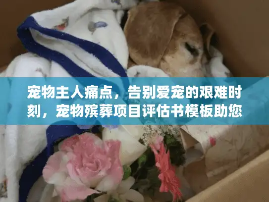 宠物主人痛点，告别爱宠的艰难时刻，宠物殡葬项目评估书模板助您安心
