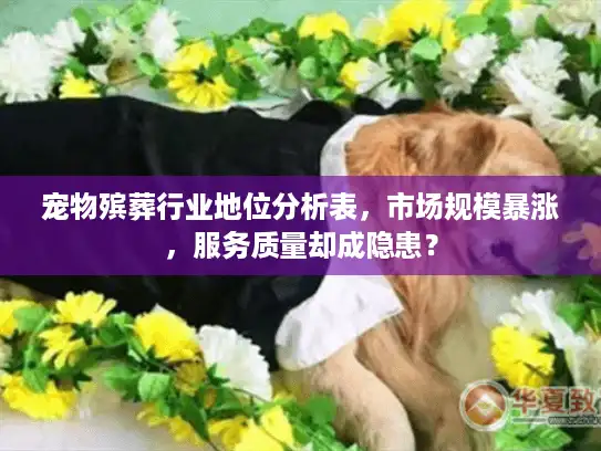 宠物殡葬行业地位分析表，市场规模暴涨，服务质量却成隐患？