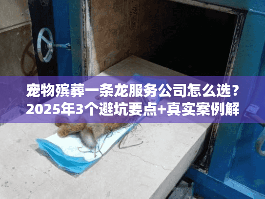 宠物殡葬一条龙服务公司怎么选？2025年3个避坑要点+真实案例解析
