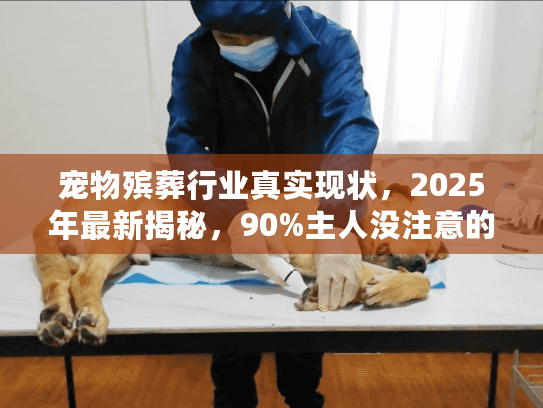 宠物殡葬行业真实现状，2025年最新揭秘，90%主人没注意的3个坑你踩了吗？