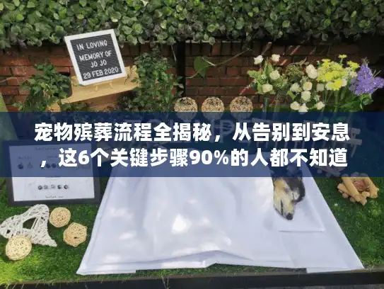 宠物殡葬流程全揭秘，从告别到安息，这6个关键步骤90%的人都不知道