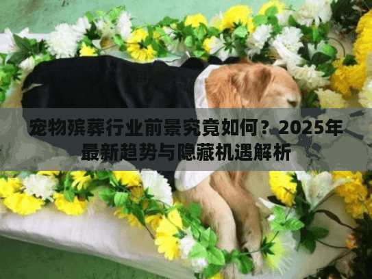 宠物殡葬行业前景究竟如何？2025年最新趋势与隐藏机遇解析
