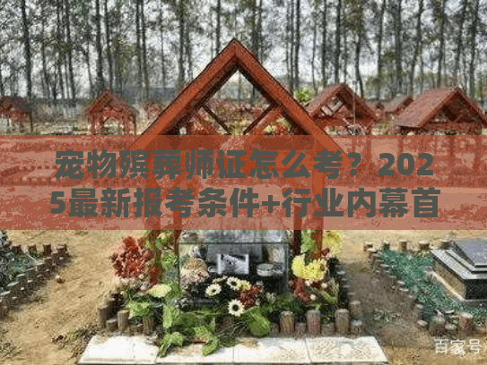 宠物殡葬师证怎么考?2025最新报考条件+行业内幕首次揭秘 宠物殡葬师证怎么考?2025最新报考条件+行业内幕首次揭秘