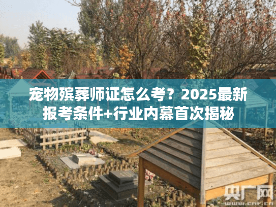 宠物殡葬师证怎么考?2025最新报考条件+行业内幕首次揭秘 宠物殡葬师证怎么考?2025最新报考条件+行业内幕首次揭秘