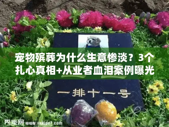 宠物殡葬为什么生意惨淡？3个扎心真相+从业者血泪案例曝光