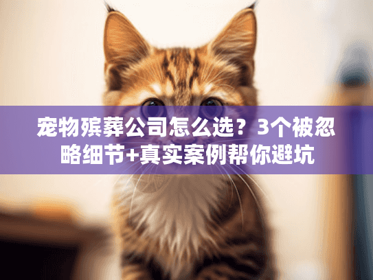 宠物殡葬公司怎么选？3个被忽略细节+真实案例帮你避坑