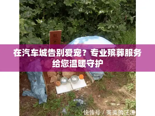 在汽车城告别爱宠？专业殡葬服务给您温暖守护