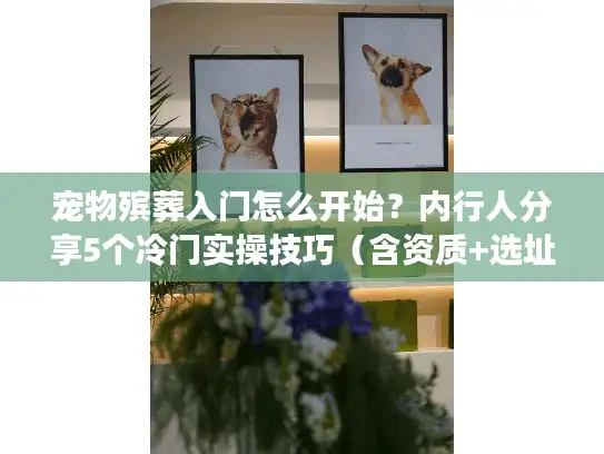 宠物殡葬入门怎么开始？内行人分享5个冷门实操技巧（含资质+选址+获客）