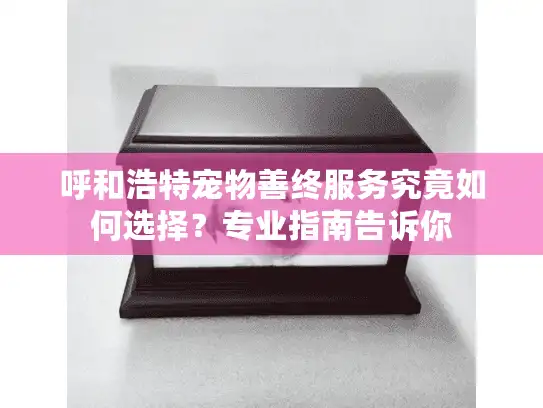 呼和浩特宠物善终服务究竟如何选择？专业指南告诉你