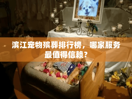 滨江宠物殡葬排行榜，哪家服务最值得信赖？