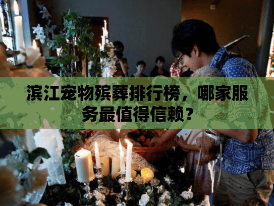 滨江宠物殡葬排行榜，哪家服务最值得信赖？