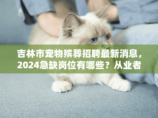 吉林市宠物殡葬招聘最新消息，2024急缺岗位有哪些？从业者揭秘入行门槛