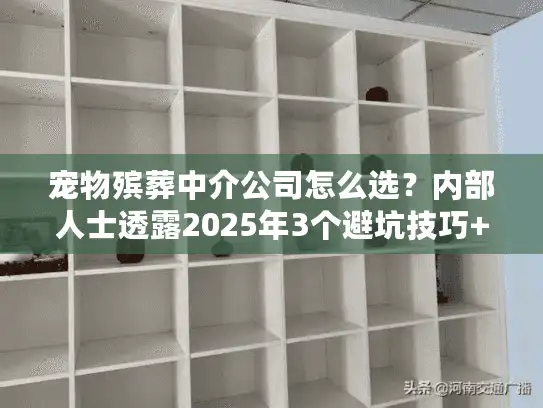 宠物殡葬中介公司怎么选？内部人士透露2025年3个避坑技巧+真实案例