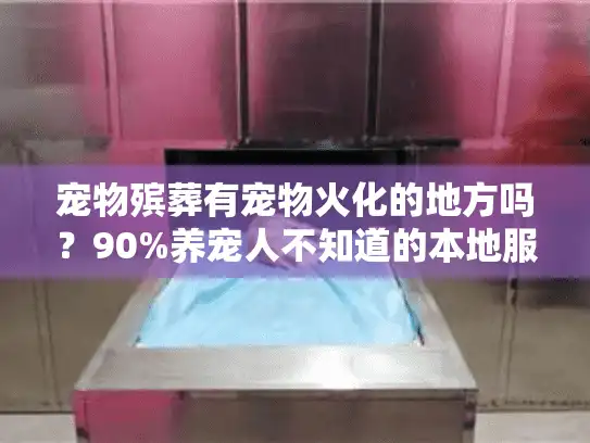宠物殡葬有宠物火化的地方吗？90%养宠人不知道的本地服务点+避坑技巧