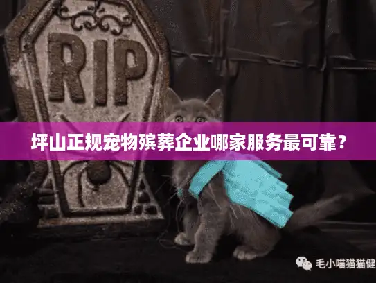 坪山正规宠物殡葬企业哪家服务最可靠？
