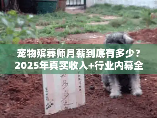 宠物殡葬师月薪到底有多少?2025年真实收入+行业内幕全揭秘 宠物殡葬师月薪到底有多少?2025年真实收入+行业内幕全揭秘