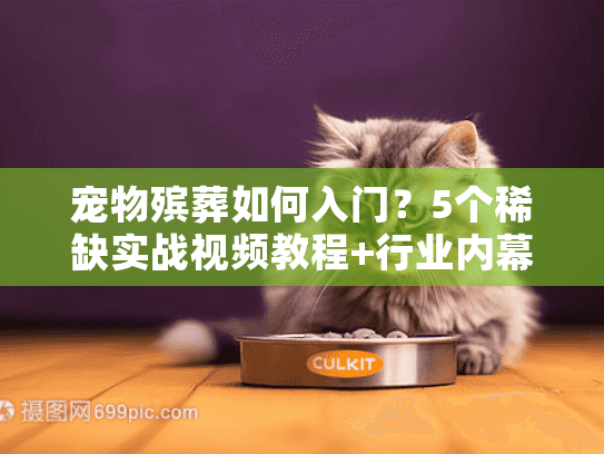 宠物殡葬如何入门？5个稀缺实战视频教程+行业内幕首次公开