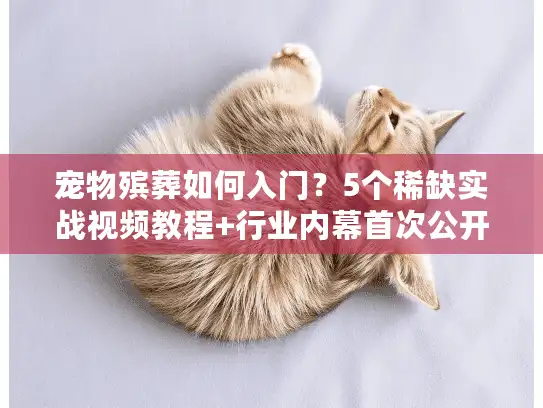 宠物殡葬如何入门？5个稀缺实战视频教程+行业内幕首次公开