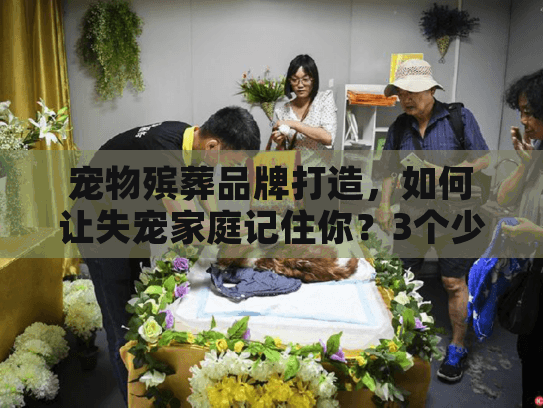 宠物殡葬品牌打造,如何让失宠家庭记住你?3个少有人知的实战案例拆解 宠物殡葬品牌打造,如何让失宠家庭记住你?3个少有人知的实战案例拆解