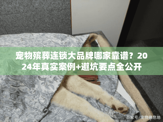 宠物殡葬连锁大品牌哪家靠谱？2024年真实案例+避坑要点全公开