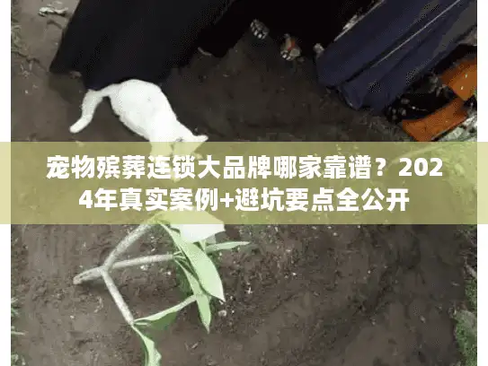 宠物殡葬连锁大品牌哪家靠谱？2024年真实案例+避坑要点全公开