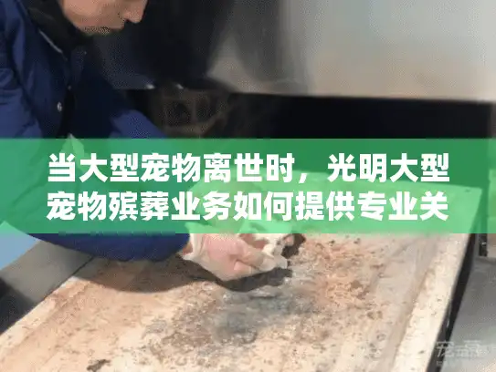 当大型宠物离世时，光明大型宠物殡葬业务如何提供专业关怀？