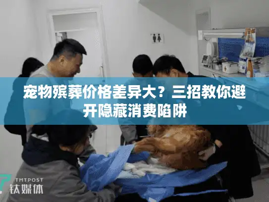 宠物殡葬价格差异大?三招教你避开隐藏消费陷阱 宠物殡葬价格差异大?三招教你避开隐藏消费陷阱