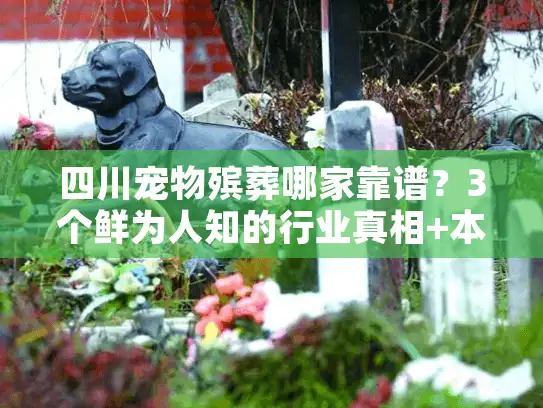 四川宠物殡葬哪家靠谱？3个鲜为人知的行业真相+本地真实案例拆解
